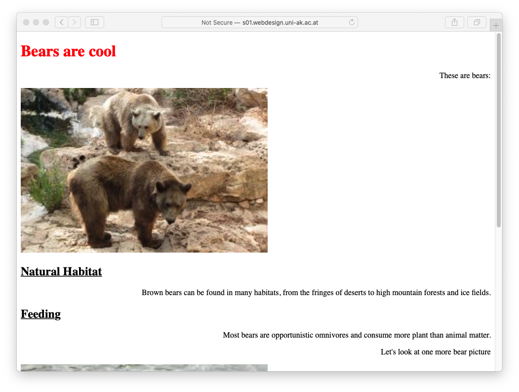 Exercise 1 screenshot